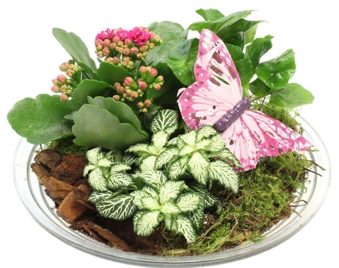 4873 GLAS 25 ROZE/WIT