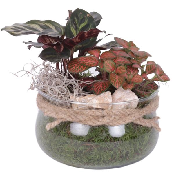 <h4>Yearround Arr. Indoor Glass Bowl with Rope Ø16cm 2PP</h4>