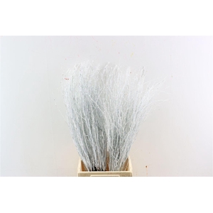 Berk 70cm Gl Wit Pbs