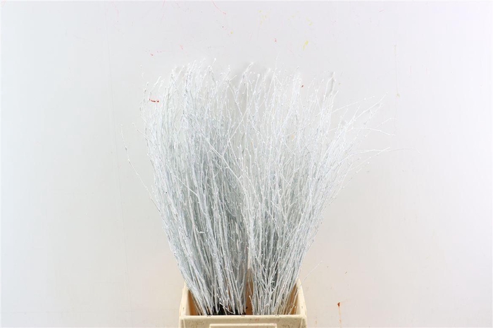 <h4>Berk 70cm Gl Wit Pbs</h4>