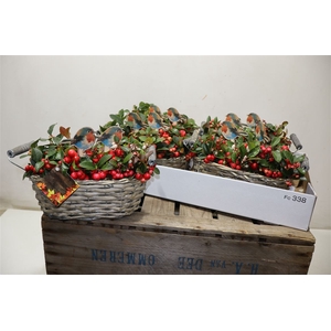 Arr Tuinplanten In Rieten Mandje