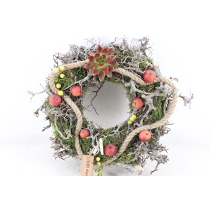 arr2 MB - Krans L ech. rood