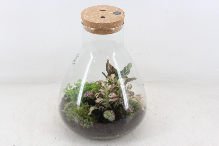 <h4>arr3 WR - Terrarium Erlenmeyer XL LED</h4>