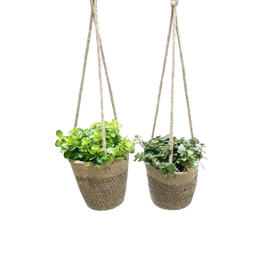 JH13GEM Hangmand 13cm Single Groenmix