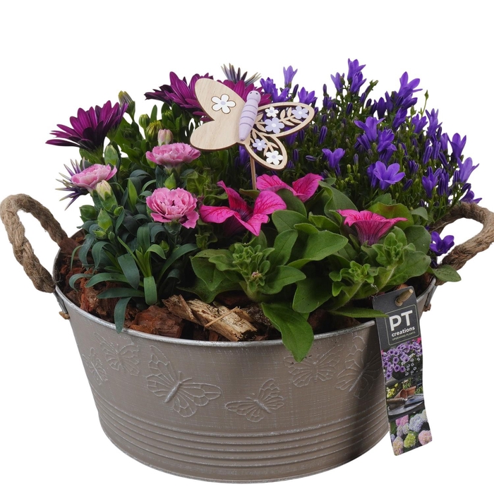<h4>PTPP6820 Arrangement Patio in metalen bak</h4>