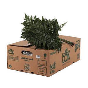 LEDERVAREN JUNIOR RIO TAK