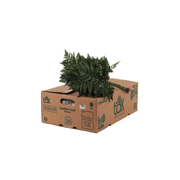 <h4>LEDERVAREN JUNIOR TAK</h4>