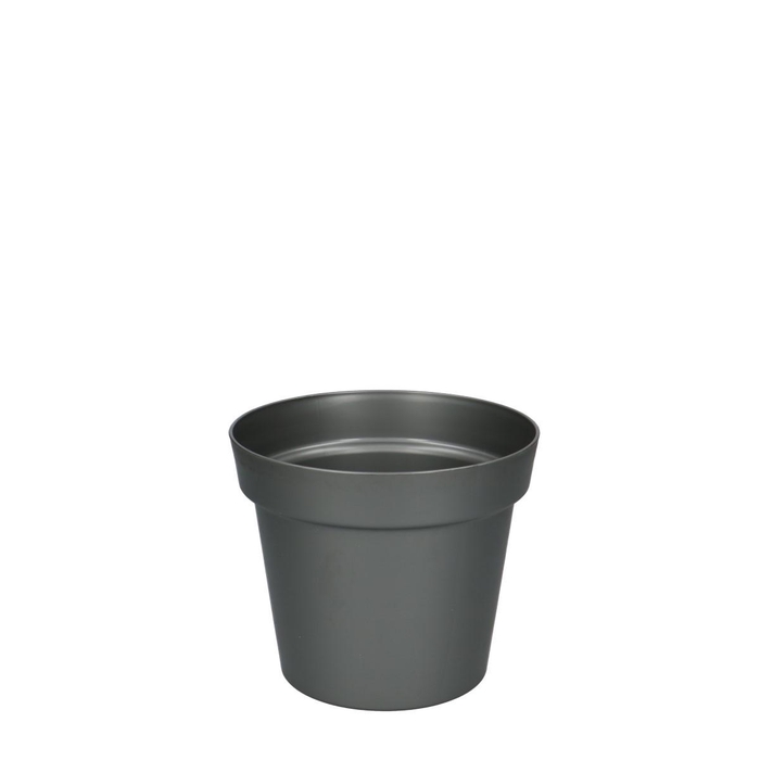 <h4>Pot d14*12cm</h4>