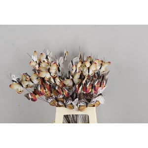 Stick Butterfly Bouquet Copper