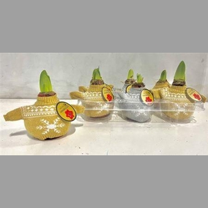 Bloembol Hipp Silver & Gold Sweater