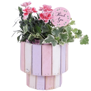 Mothersday Arr. Outdoor Wooden Pot on Stand Pastel Pink Ø15cm 2P