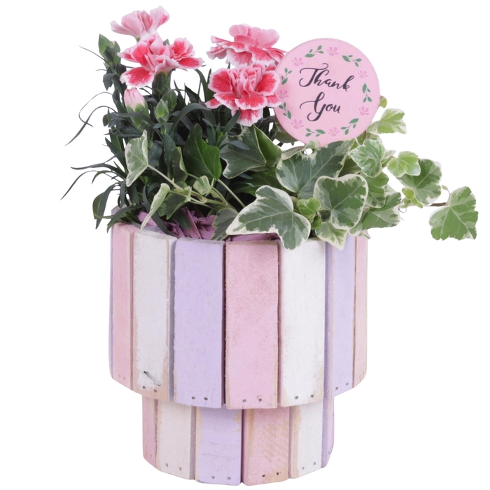 <h4>Mothersday Arr. Outdoor Wooden Pot on Stand Pastel Pink Ø15cm 2P</h4>