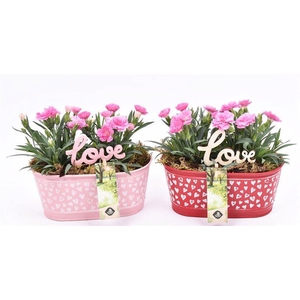 Zink ovaal hart decor 18x10cm