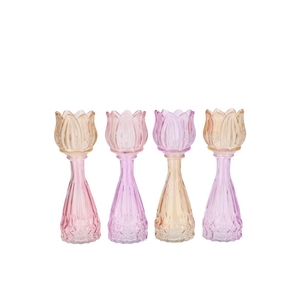 Bicolore Dreamy Pastel Mix Tulip Vase Ass 7x18cm