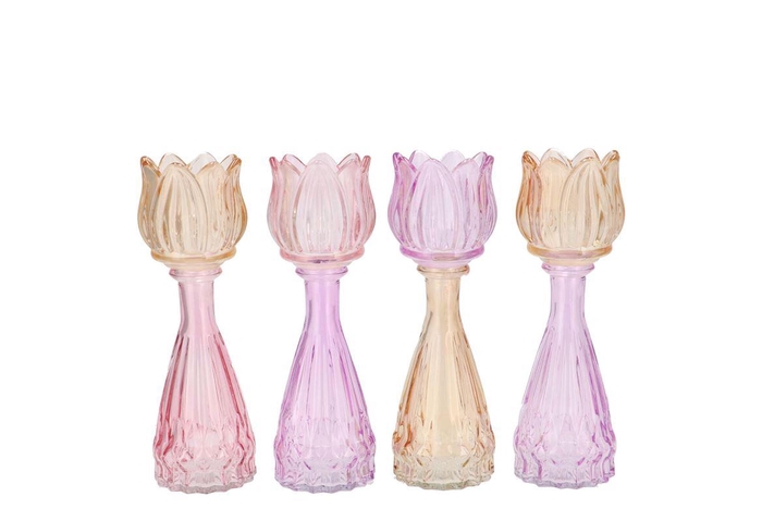 <h4>Bicolore Dreamy Pastel Mix Tulip Vase Ass 7x18cm</h4>