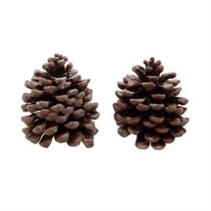 Deco Pinecone Pinea Scented Orange Cinnamon 2pcs