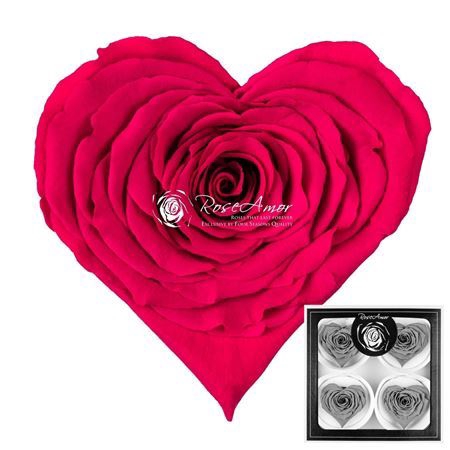 <h4>Pres Corazon Bella Pin03</h4>