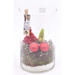 Glas cilinder 14x16cm