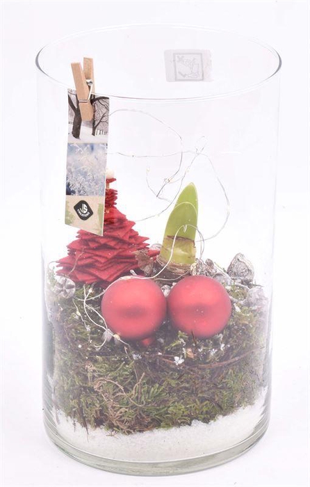 <h4>Glas cilinder 14x16cm</h4>