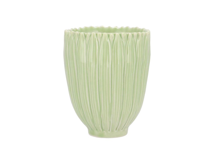 <h4>Bloom Daisy Dreamy Green Cup 9x9x11cm Nm</h4>