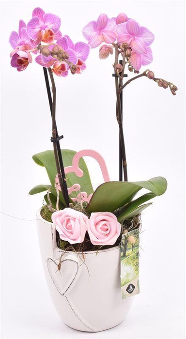 <h4>Keramiek pot met hart 12.5CM</h4>