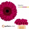 Ge Gr Martini