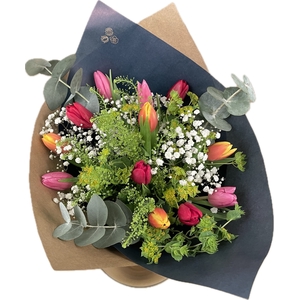 Bq Tulip Trend Carrousel L