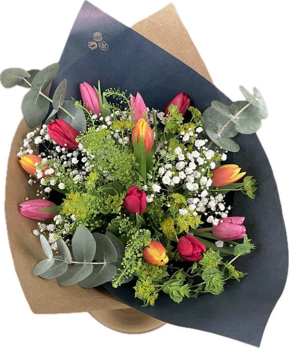 <h4>Bq Tulip Trend Carrousel L</h4>