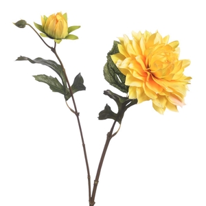 AF Dahlia x2 L63cm Yellow