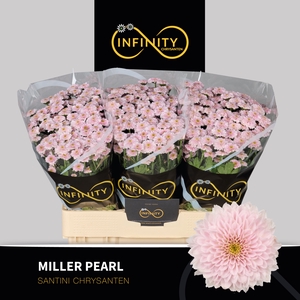 CHR S MILLER PEARL