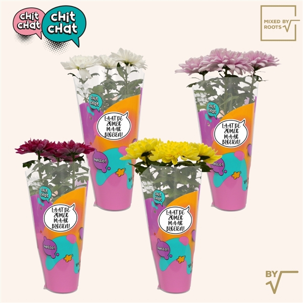 <h4>Chit Chat sticker NL - Chrysanne® Zembla Next mix</h4>