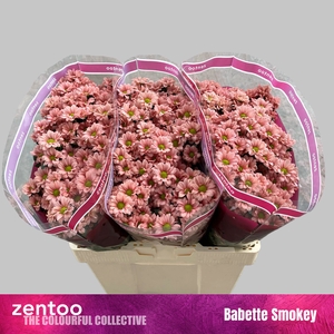 Chr San Babette Smokey Zentoo
