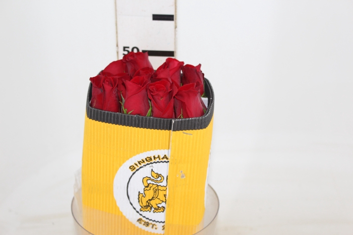 <h4>ROSA VERMELHA FREEDOM 040 IMPORTADA</h4>