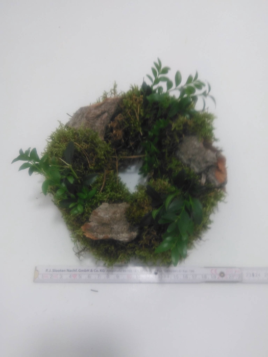 <h4>KRANZ 01 MOOS BUX RINDE 15CM</h4>