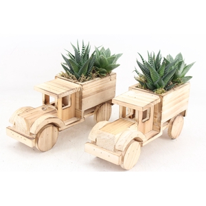arr3 SN - Hout vrachtwagen 250/5