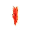 Sacuara Orange