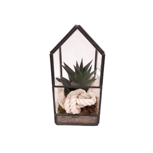 GHK8WHI Glass House Mini Terrarium