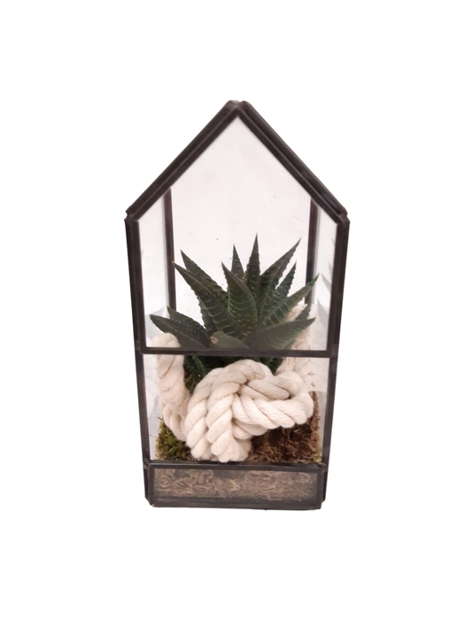 <h4>GHK8WHI Glass House Mini Terrarium</h4>
