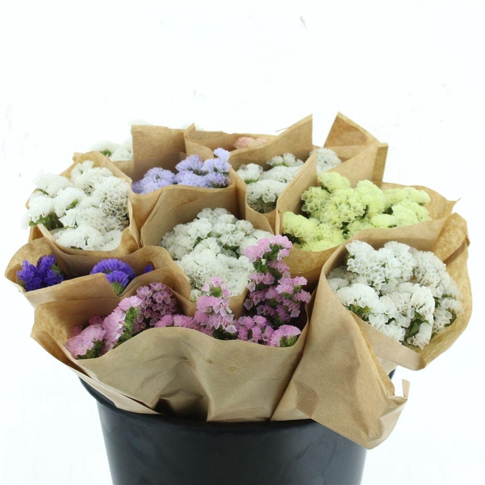 <h4>Bouquet Limonium Sinuatum Mix In Bucket X5</h4>