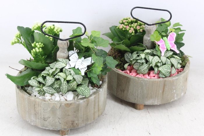 <h4>arr2 PL - Etagere rond 5x - roze/wit</h4>