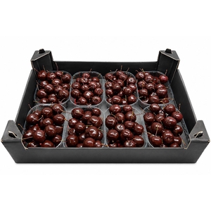 Waxmalus Choco