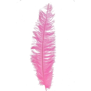 Feathers Ostrich d10*60cm x5