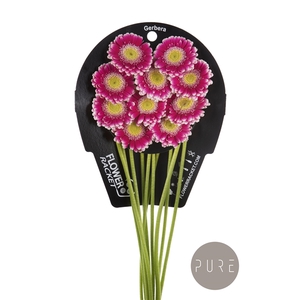 Ge Mi Cassis flowerracket