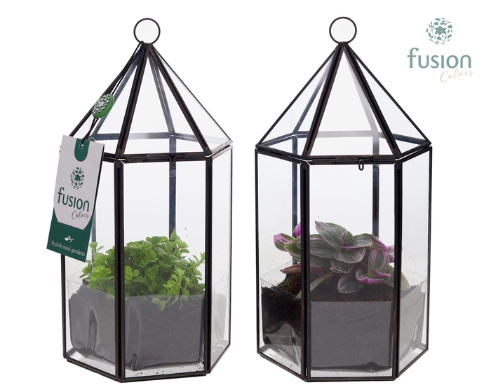 <h4>Lantaarn Geometrisch met Groene planten</h4>