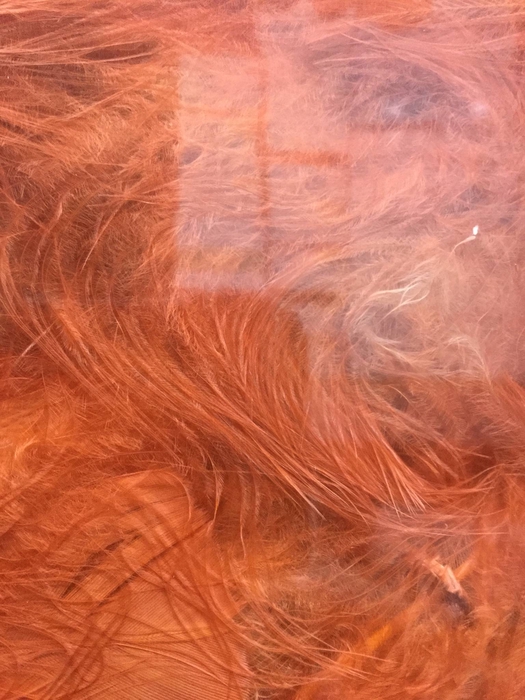 PLUIM MARABOU 40GR TERRACOTTA