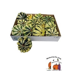 <h4>CUC PEP PATISSON MIX</h4>