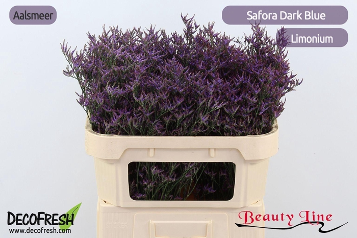 <h4>LIM SAF DARK BLUE</h4>