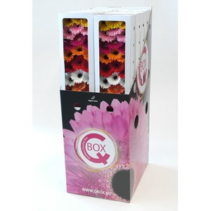 Germini mix Q Box  packaging.q_box