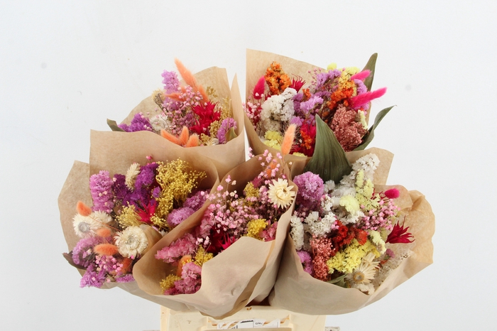 <h4>DF Bouquet 50cm Neon Mix</h4>