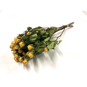 DROOG ROSES SPRAY GEEL RUSTIGOLD